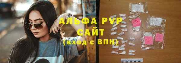 индика Балабаново