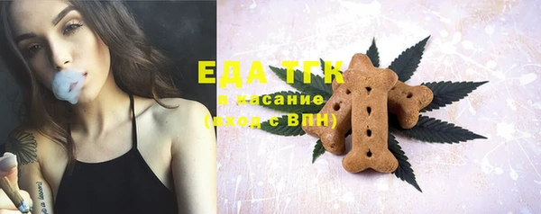 индика Балабаново