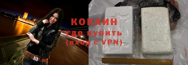 индика Балабаново