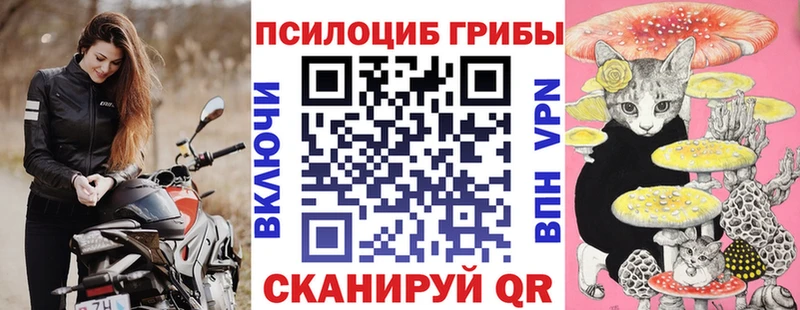 мориарти наркотические препараты Рыбное Псилоцибиновые грибы мухоморы