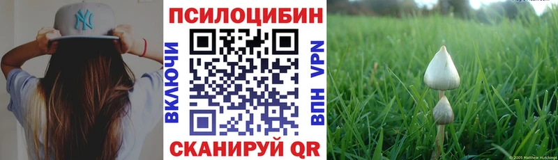 Галлюциногенные грибы ЛСД Рыбное